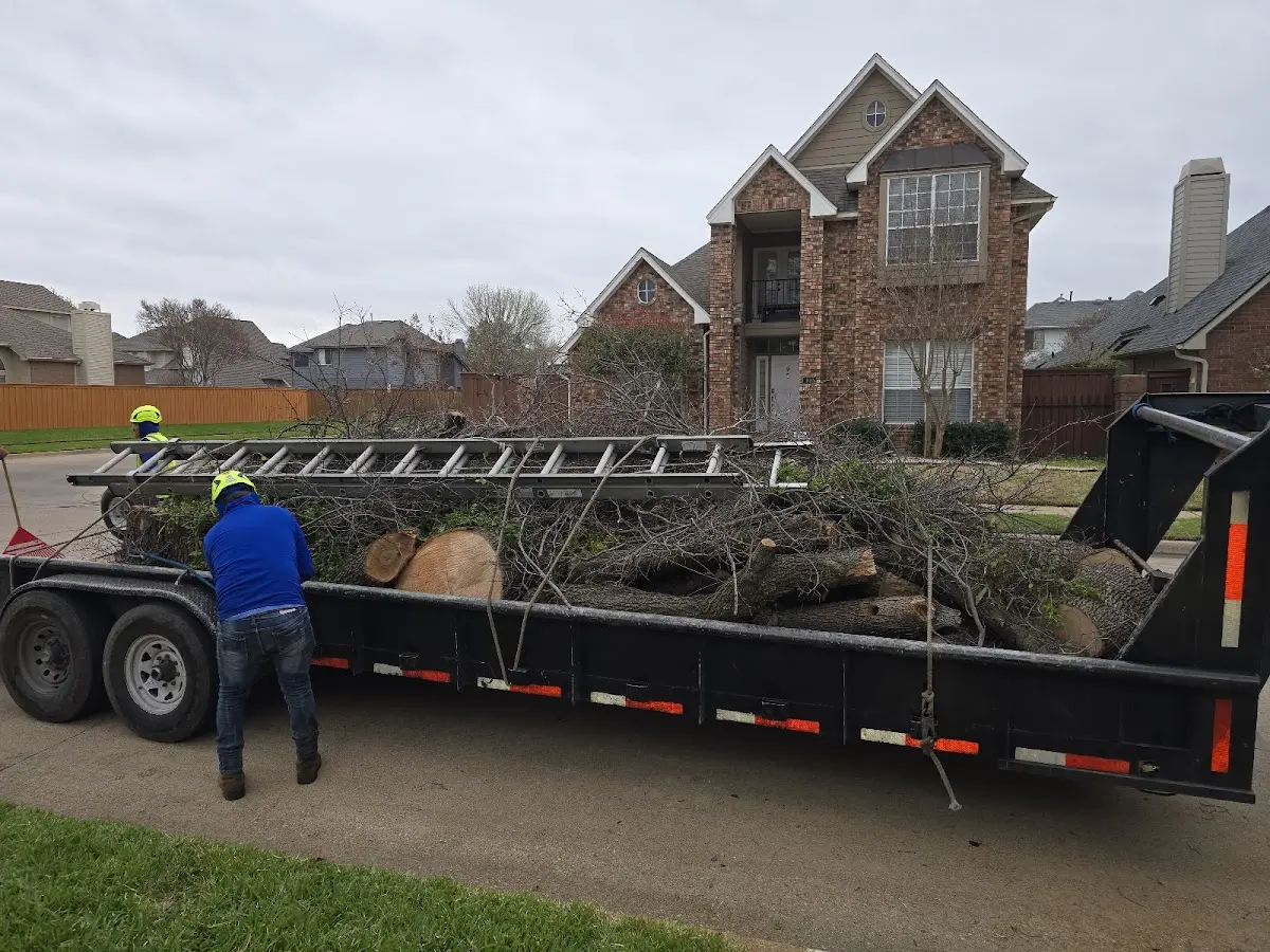Expert Tree Fertilization with proper safety equipment in Milroy